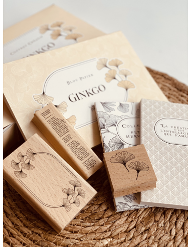 Florilèges Design caja creativa Ginkgo