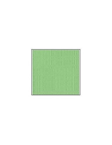 Cartulina texturizada verde pistacho